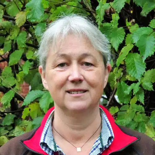Anke Peper