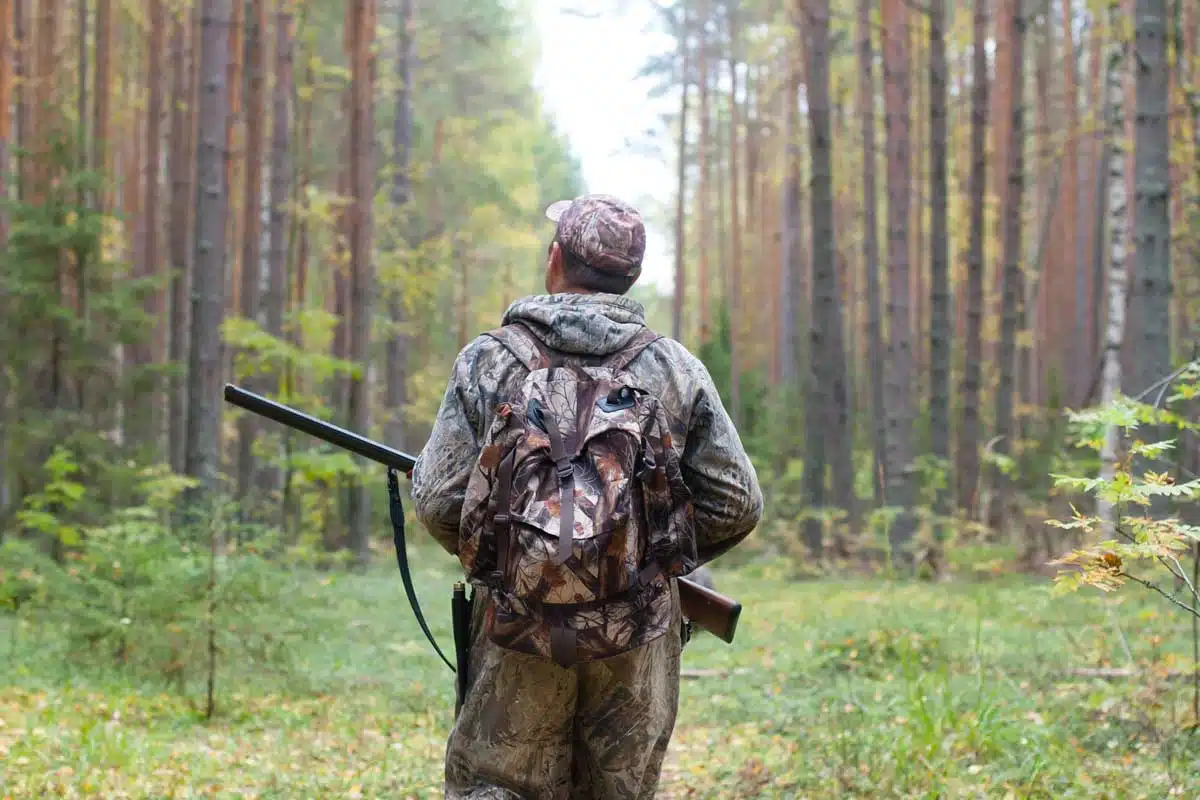 Jäger im Wald
