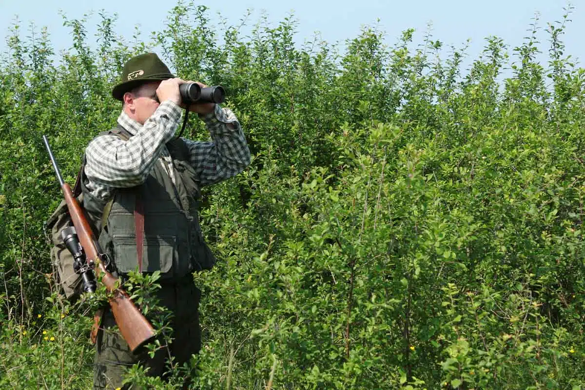 jäger blickt durch fernglas