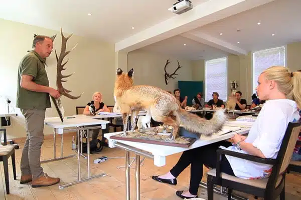 Jaeger werden Jagdschein Seminar